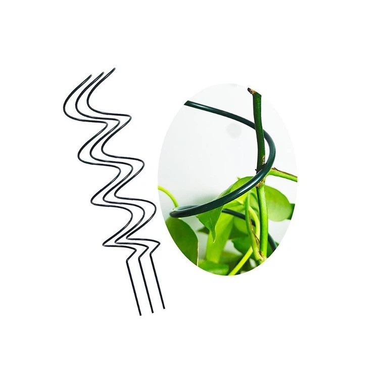 ٹماٹر اگانے والے سرپل پلانٹ سپورٹ مینوفیکچررز